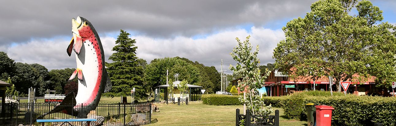Alpine Towns NSW: Adaminaby - Lake Eucumbene Post feature image