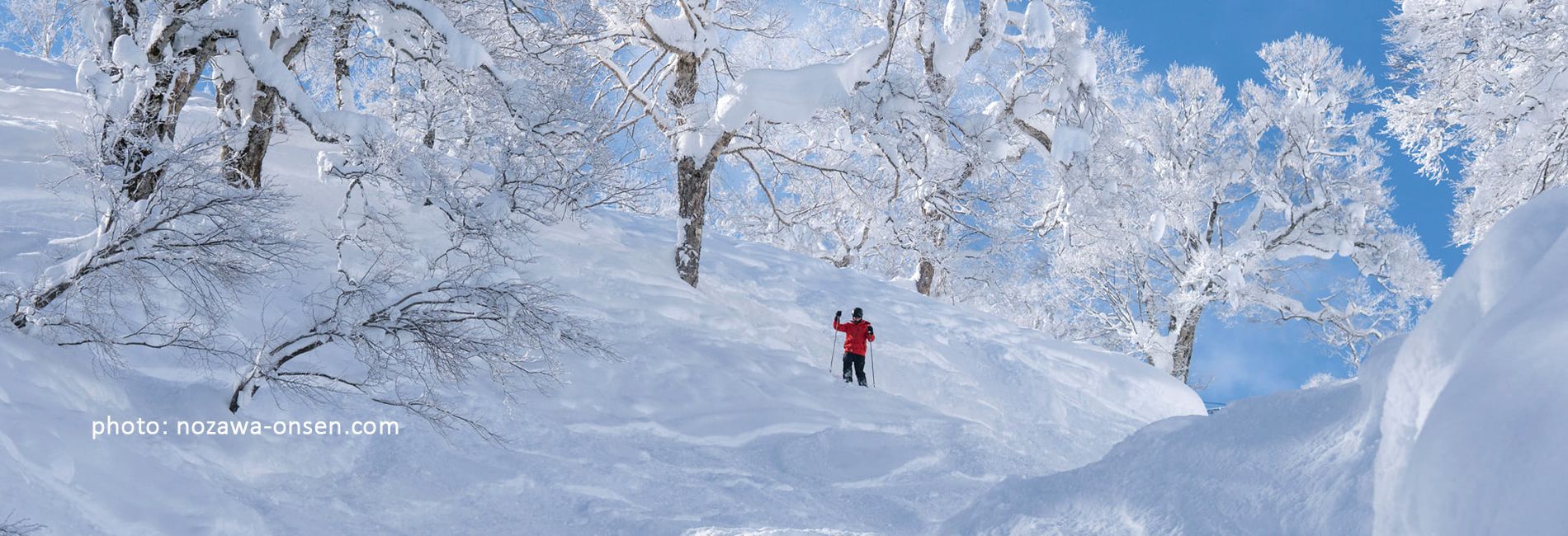 Japan: Honshu - Nozawa Onsen Post feature image