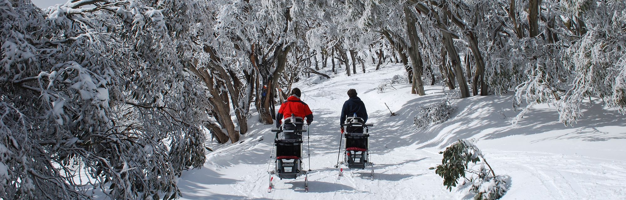 Snow Resorts VIC: Mt Stirling Post feature image