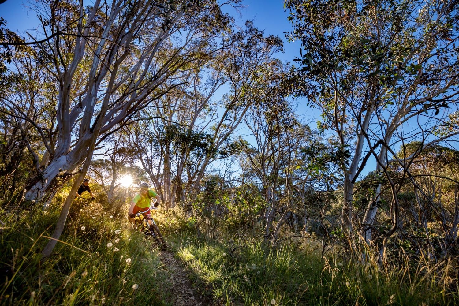 The all new Dinner Plain Post feature image