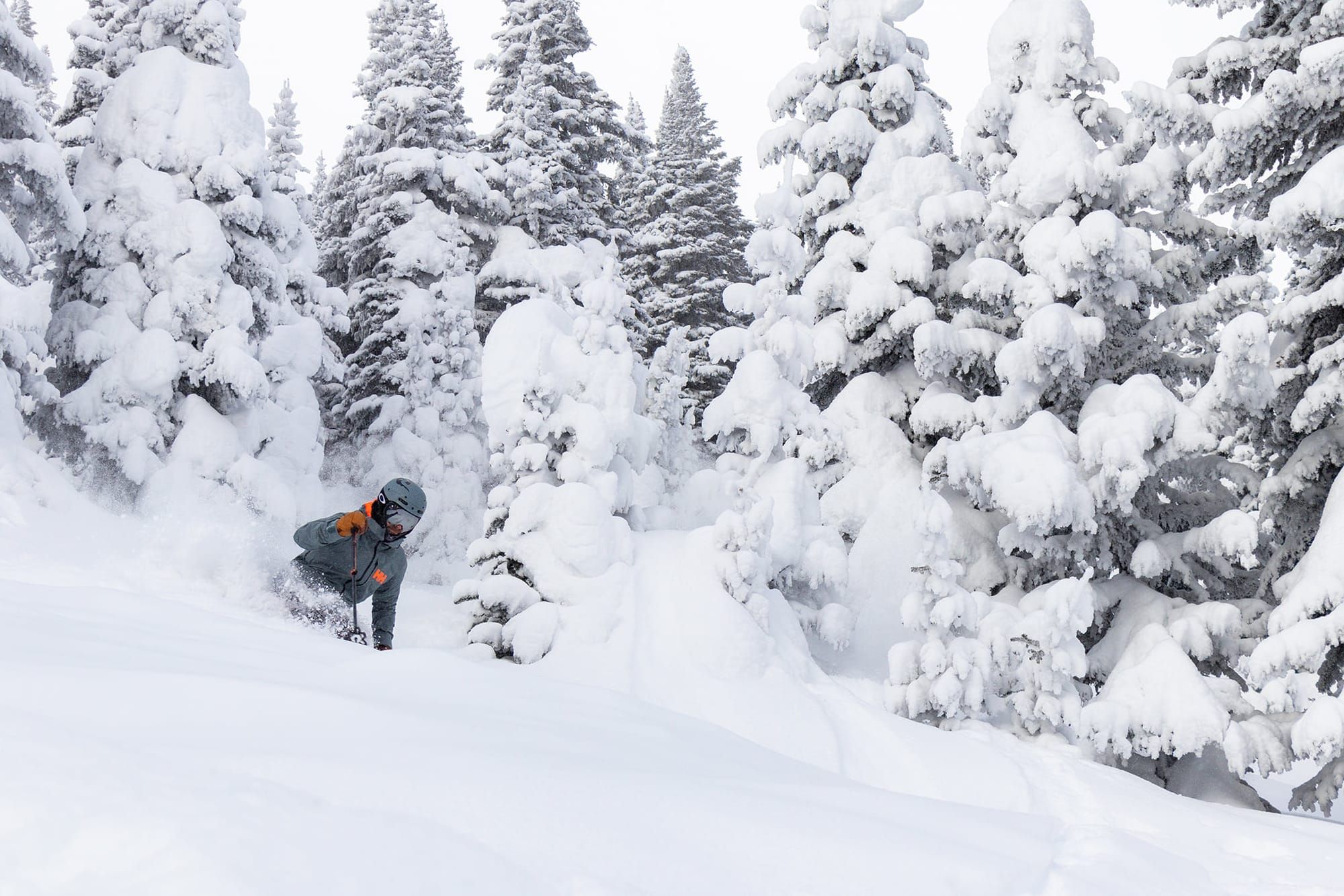 Sun Peaks, Canada’s second largest ski area joins the Ikon Pass. Post feature image