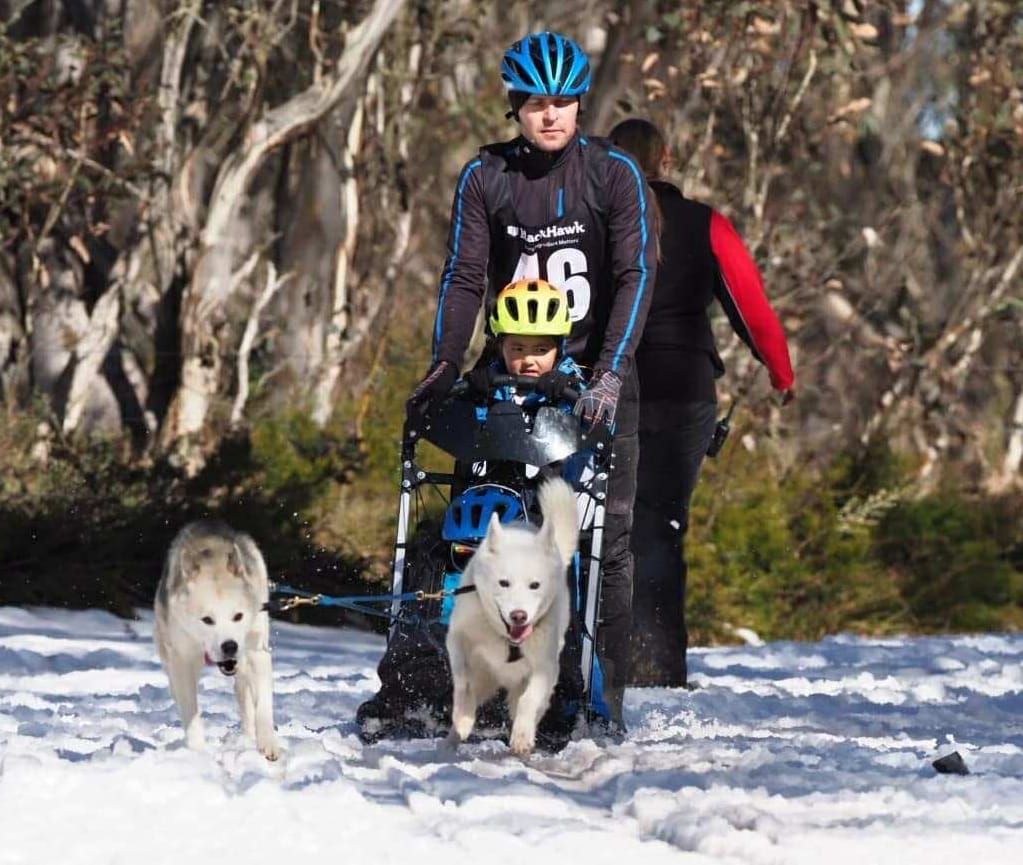 Perfect conditions for sled dog racing at Dinner Plain Post feature image