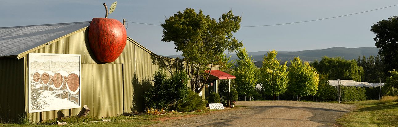 Alpine Towns NSW: Adelong - Batlow Page image