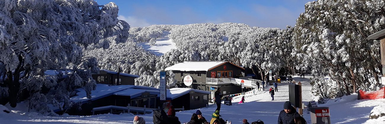 Snow Resorts VIC: Mt Baw Baw Page image