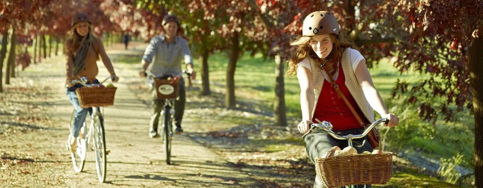 Vic: Alpine Towns Page image