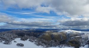 Walk into winter: Hotham, Dinner Plain in snowshoes Post feature image