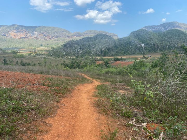 Study Abroad to Cuba 2023