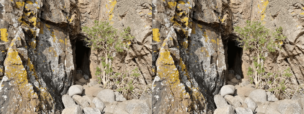 Example of lossy compression using WebP