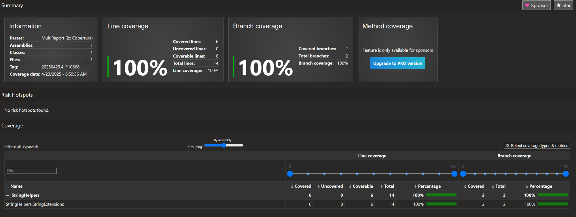 Report running locally