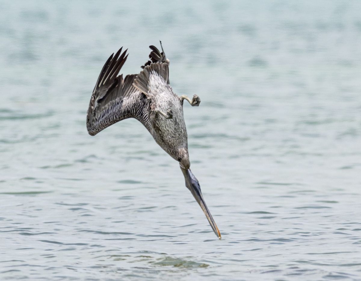 19 High-Impact Marketing Strategies to Attract Ideal Clients for Financial Advisors