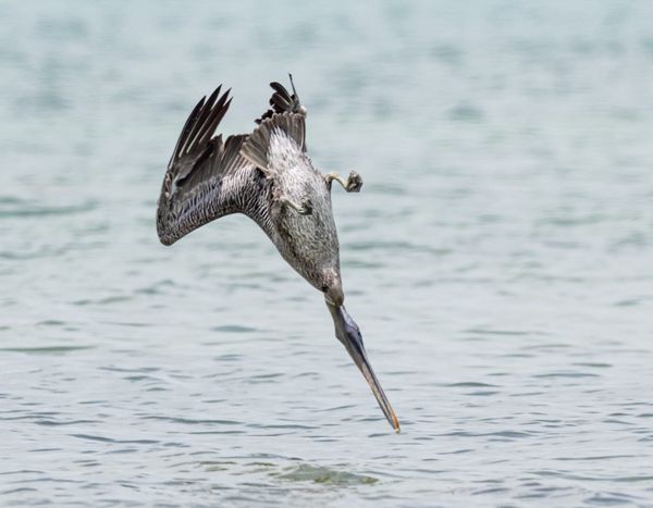 19 High-Impact Marketing Strategies to Attract Ideal Clients for Financial Advisors