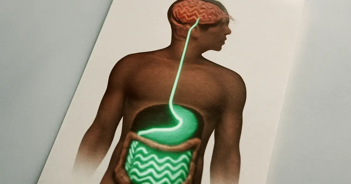 Diagram of the gut-brain axis showing BRP peptide pathway to the hypothalamus for appetite control