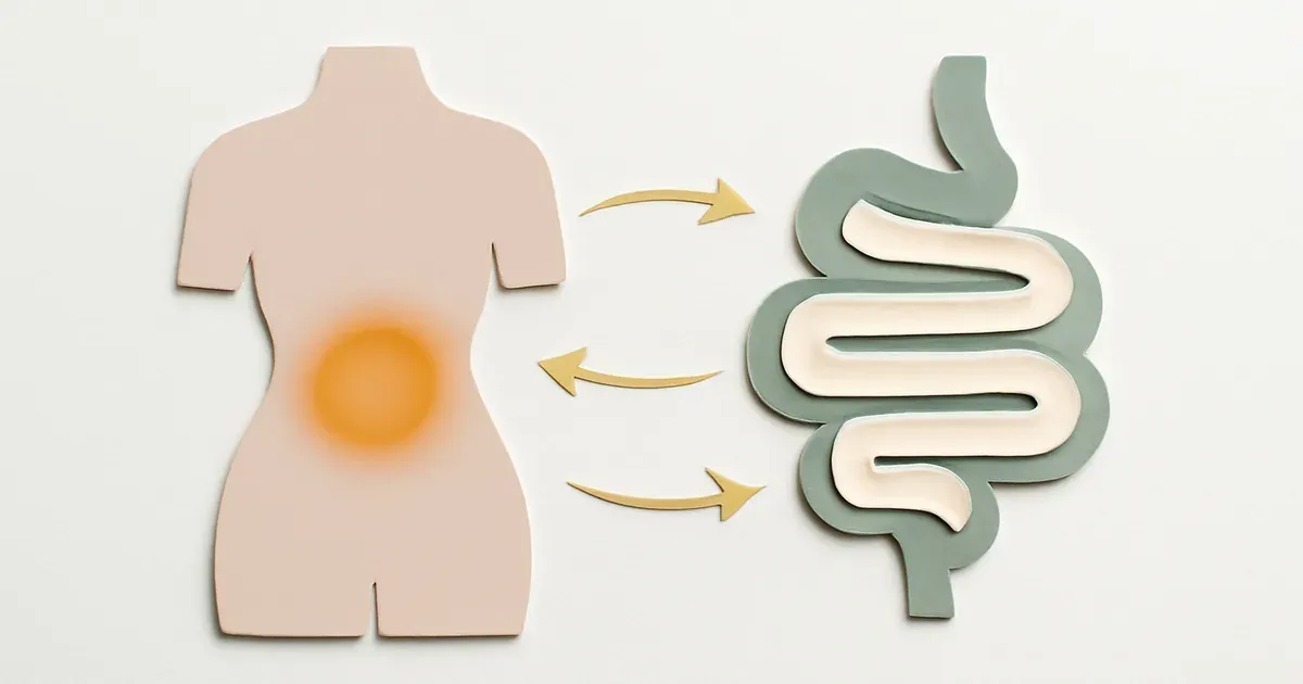 Diagram showing the bidirectional relationship between the estrobolome, gut microbiome, and oestrogen levels in menopause