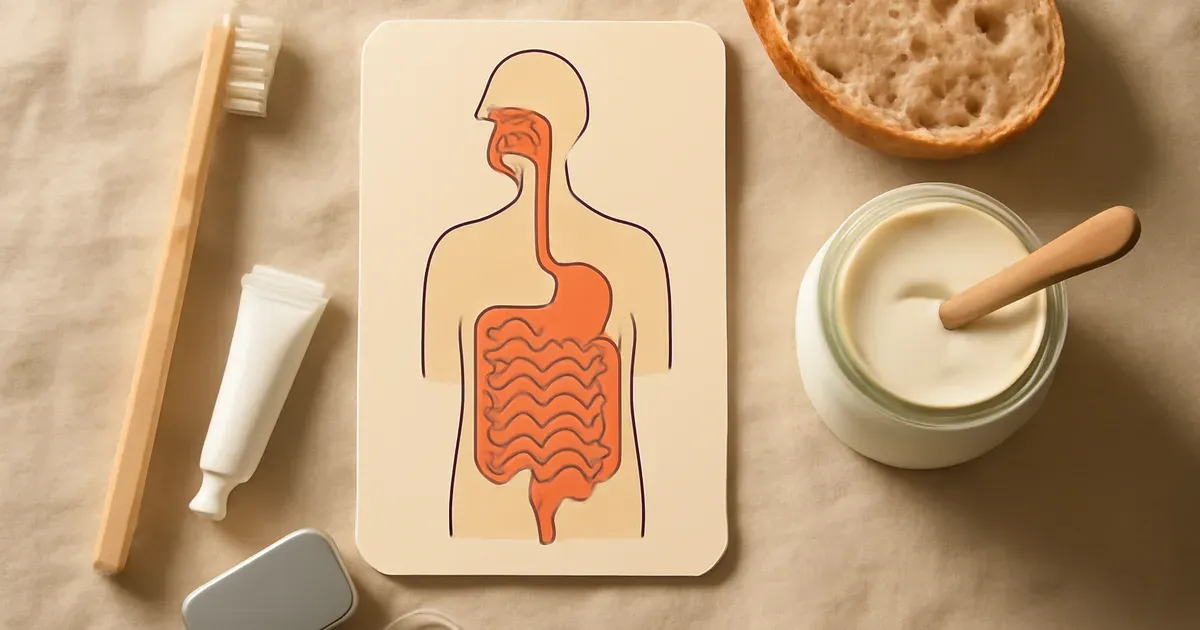 Conceptual image showing the oral-gut microbiome connection relevant to gut health UK and the gut-brain axis