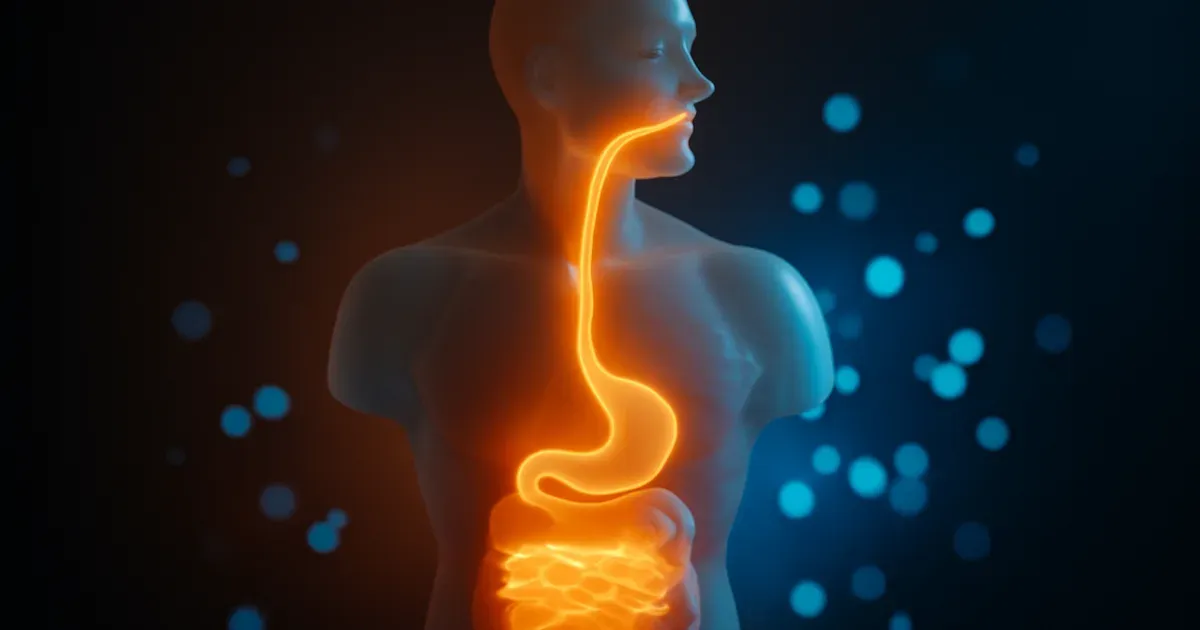 Illustration of the mouth-to-gut microbiome pathway showing the gut-brain connection in the human digestive tract