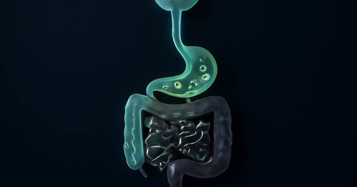 Diagram illustrating oral microbiome bacteria travelling from the mouth through the digestive tract to the gut microbiome