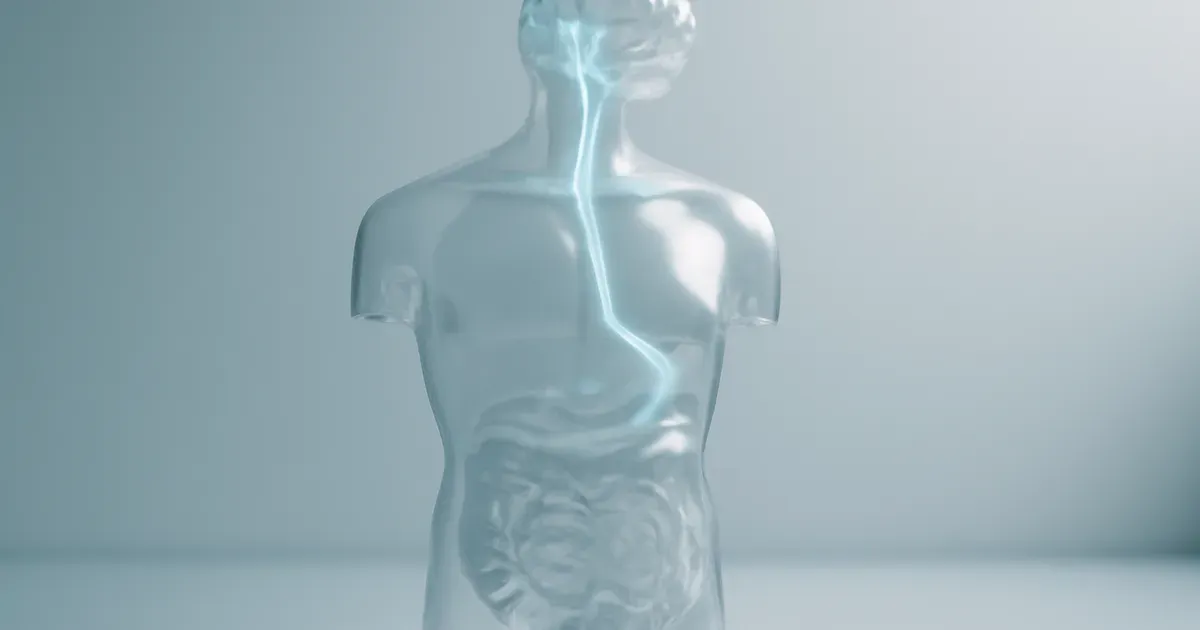 Diagram illustrating the gut-brain connection axis linking digestive system and brain in blue and green