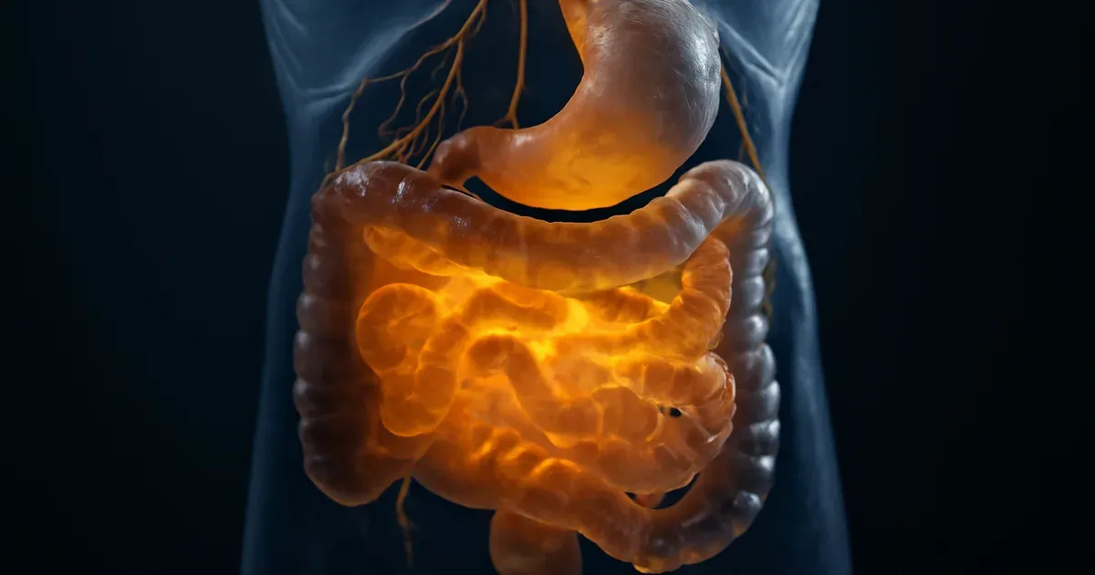 Illustration of the gut-brain connection showing communication pathways between gut microbiome and brain via the vagus nerve
