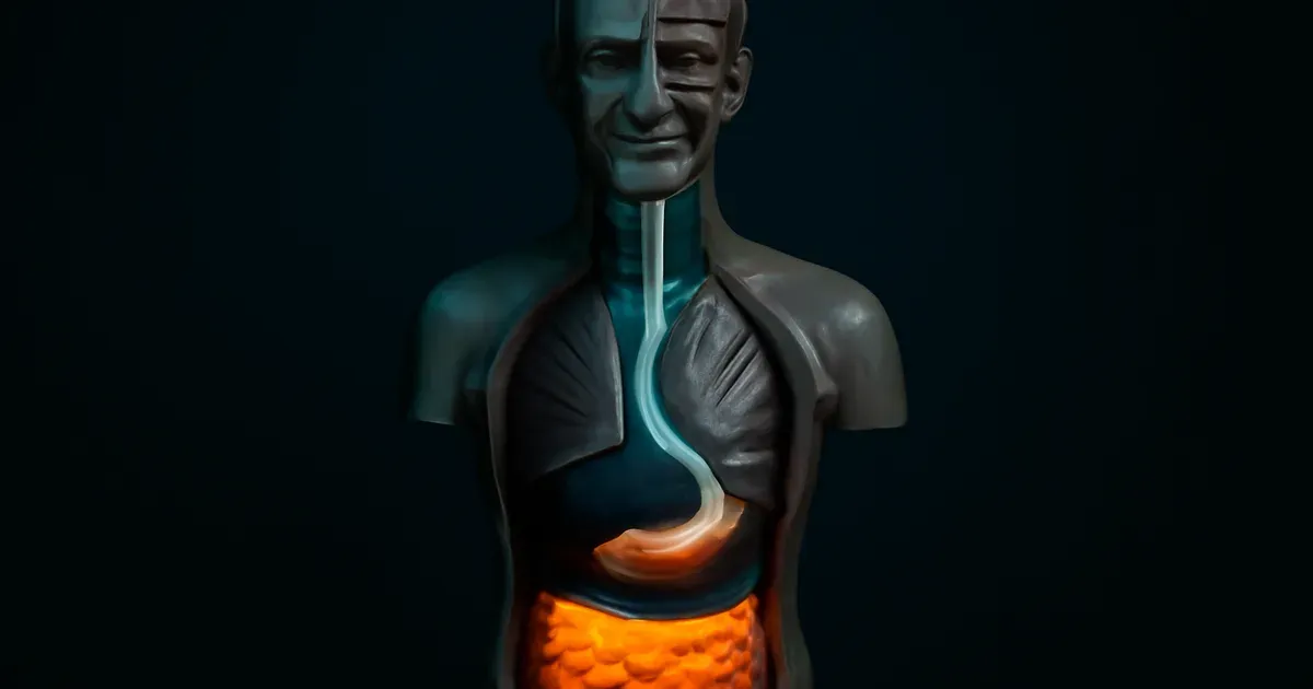 Illustration of the gut-brain connection showing bidirectional signals between the human brain and gut microbiome