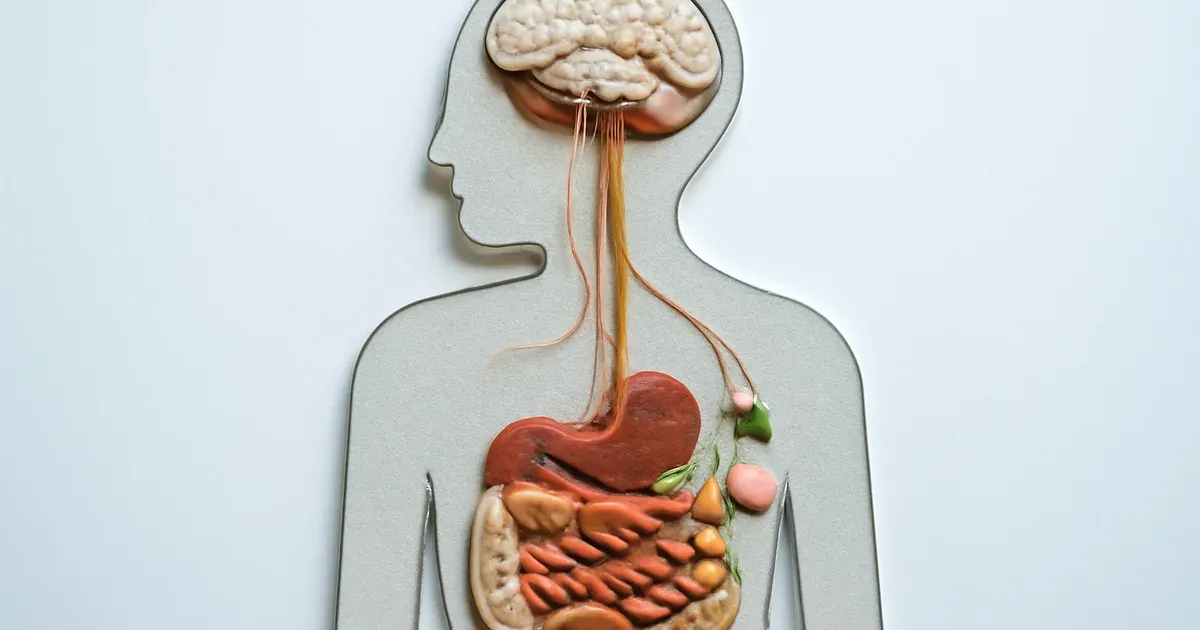 Illustration of the gut-brain axis showing neural connections between brain and gut microbiome