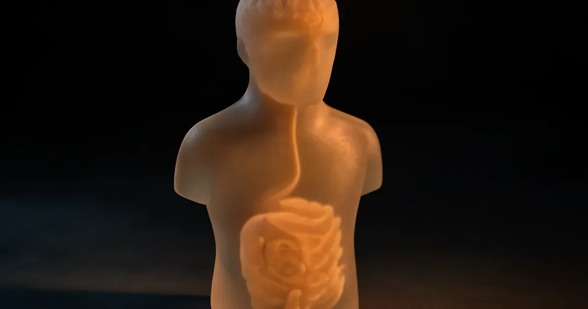 Diagram of the gut-brain axis showing the vagus nerve connection between the brain and digestive system in the human body