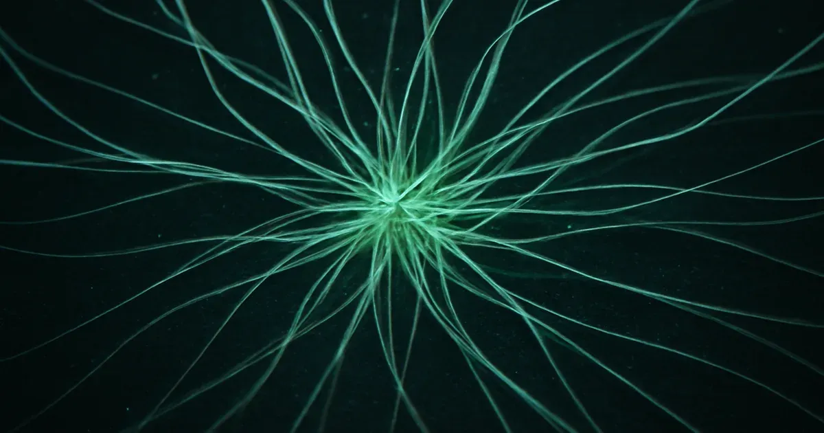 Glowing neural pathway illustrating the gut-brain connection and bidirectional communication between microbiome and brain