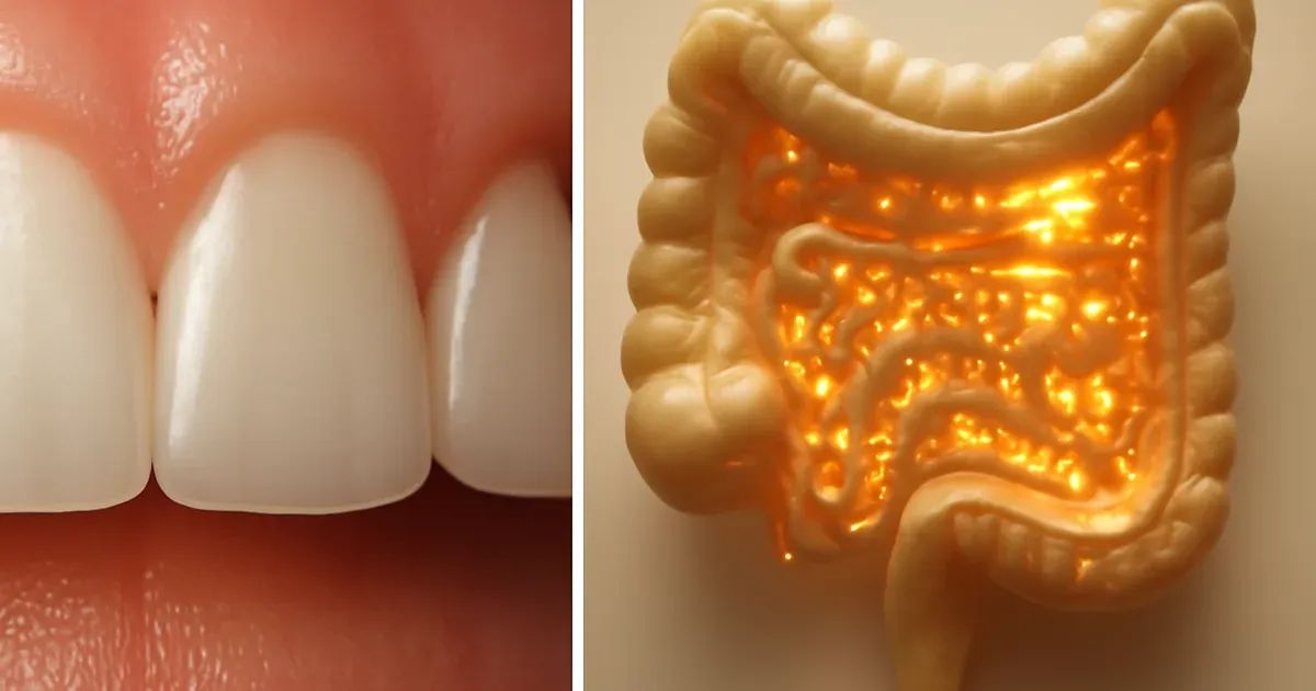 How to Support Your Oral-Gut Microbiome in 4 Steps