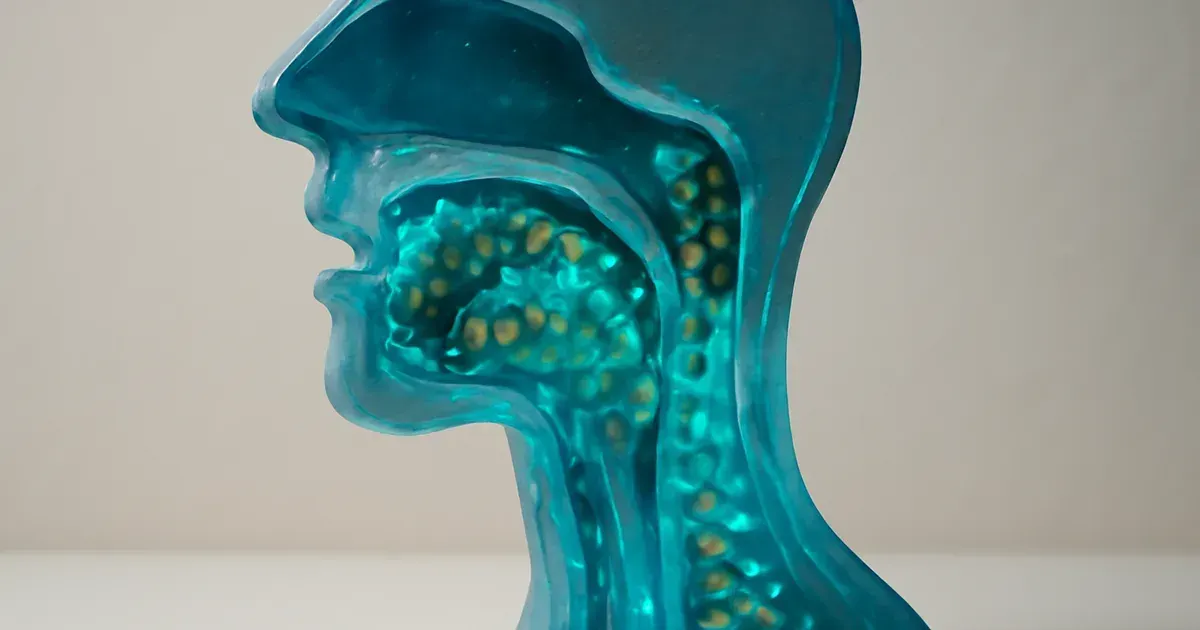The Oral Microbiome: Your Biggest Questions Answered