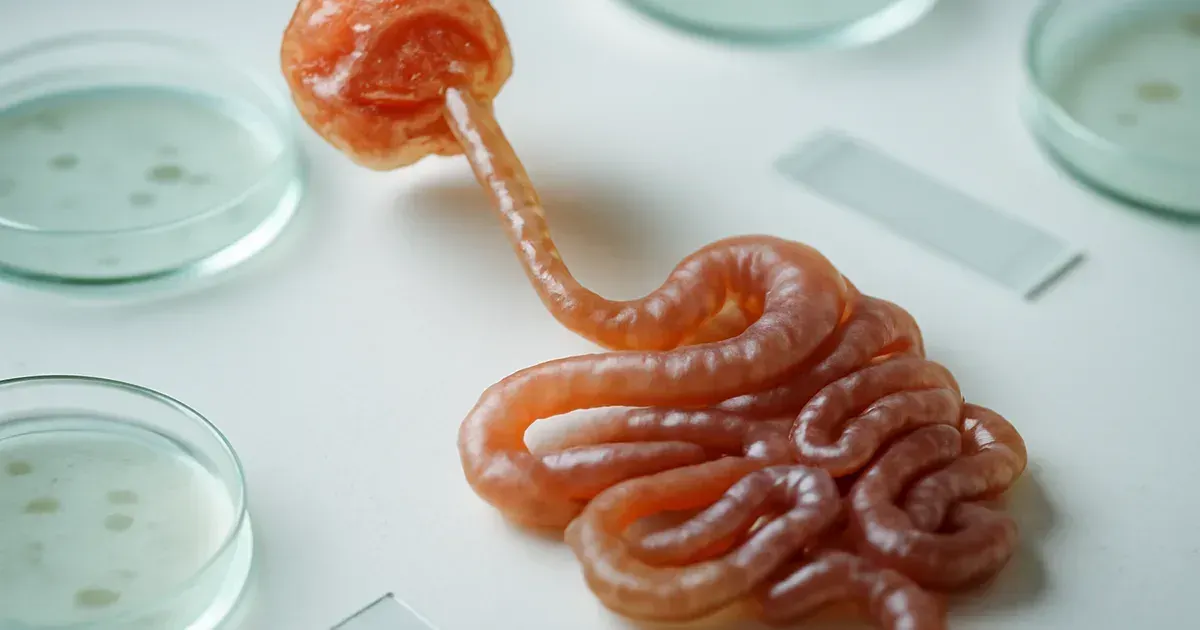 Oral–Gut Microbiome Axis: Your Questions Answered