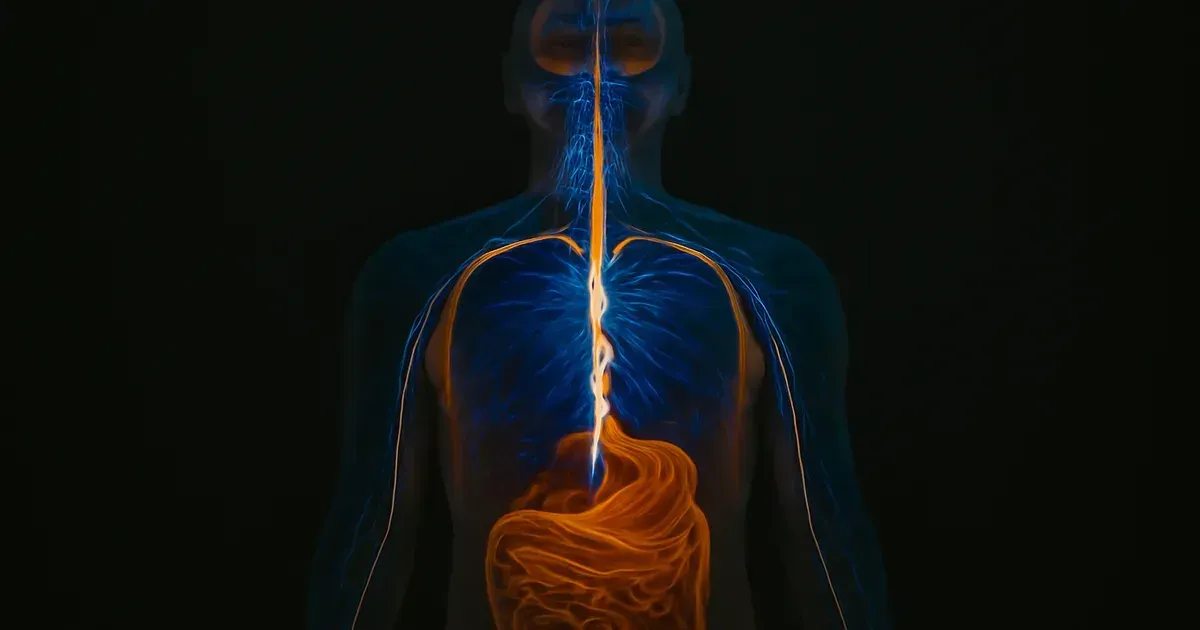 7 Gut-Brain Secrets That Could Transform Your Mood
