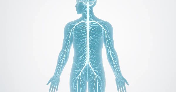 Nervous System & Weight Loss: The Missing Link