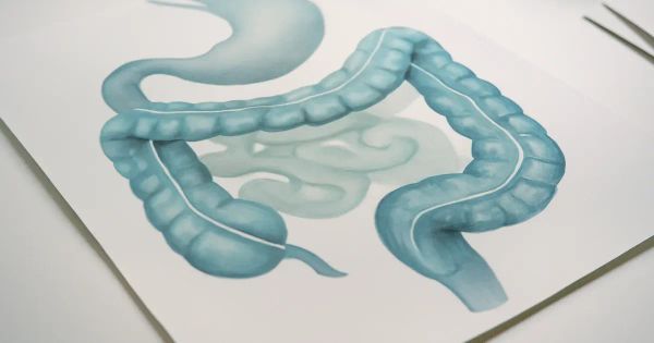 Bowel Transit Time Linked to Gut Microbiome Health