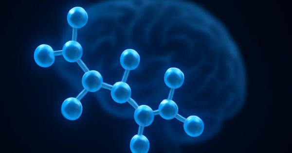 How to Understand BRP Peptide for Weight Loss