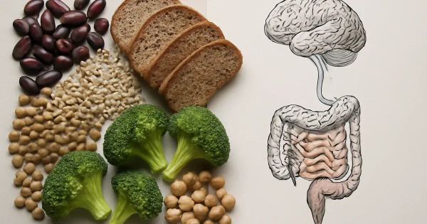 Dietary Fiber, Butyrate, and the Gut-Brain Link
