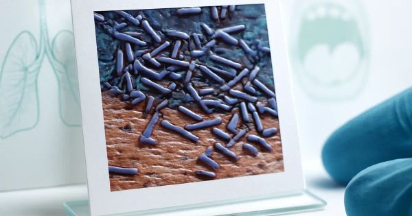 Gum Bacteria Linked to Lung Inflammation via New Receptor