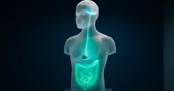 Gut Bacteria Linked to ALS and Dementia Trigger