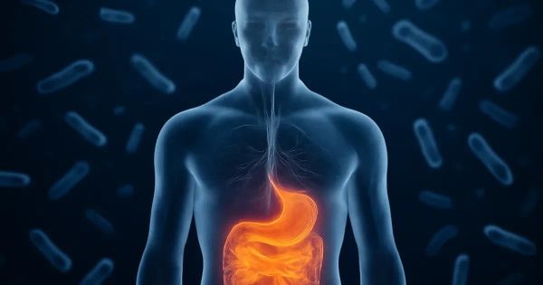 Gut Bacteria Linked to Depression via Inflammation