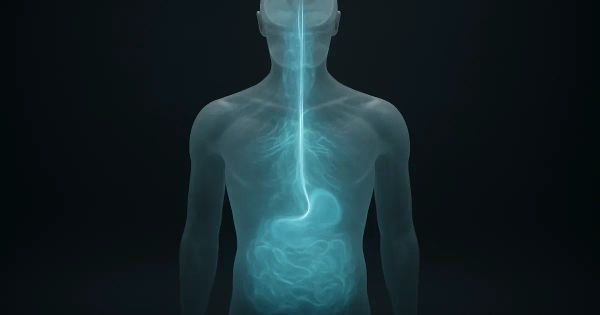 Gut-Brain Axis & Psychedelics: Your Questions Answered