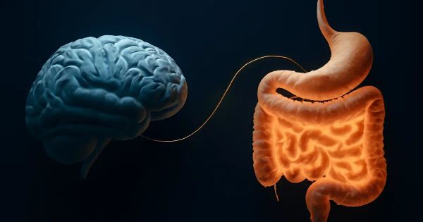 7 Surprising Ways Your Gut Microbiome Shapes Your Mind