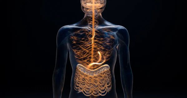 7 Surprising Ways Psilocybin Affects Your Gut-Brain Axis
