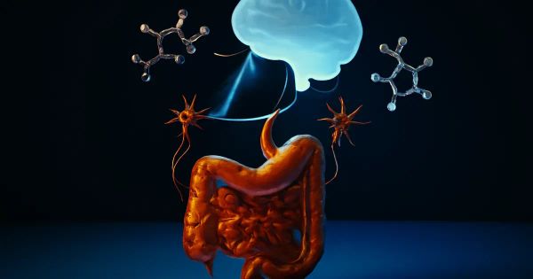 Tryptophan Pathway Shapes Gut-Brain Mental Health