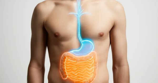 7 Gut-Brain Secrets That Could Change Your Mental Health