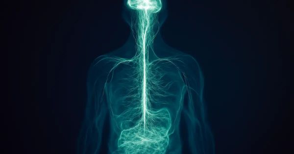 Gut-Brain Connection & Psychedelics: Your Questions Answered