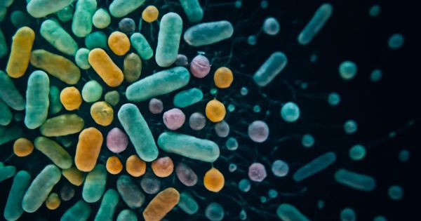 Gut Microbiome Sweeps Spread Globally Within Decades