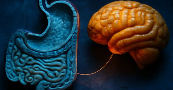 Gut Microbiome Linked to Suicidal Tendencies