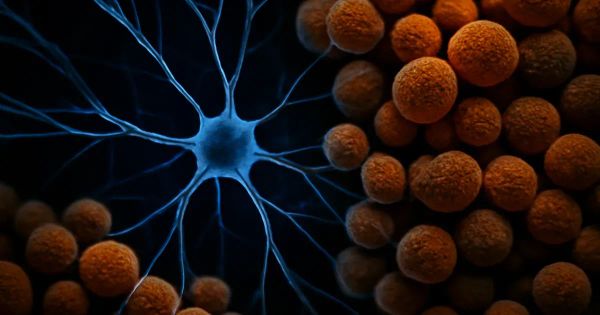 Your Gut Microbiome & Psychedelic Therapy