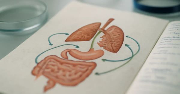 Gut Microbiome Linked to Respiratory Health