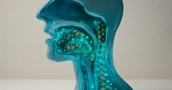 The Oral Microbiome: Your Biggest Questions Answered