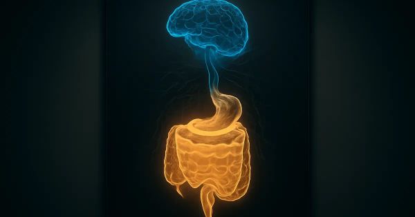 Psilocybin & Gut Health: Your Biggest Questions Answered