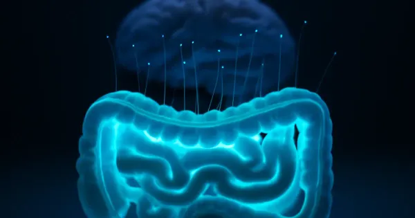Psilocybin, Gut Health & the Social Brain